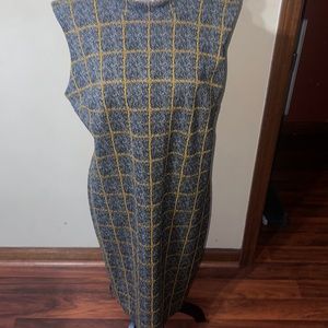 Women’s sleeveless, professional sophisticated sheath dress.